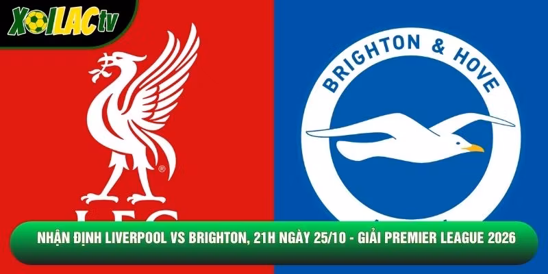 Nhận Định Liverpool Vs Brighton, 21h Ngày 25/10 – Giải Premier League 2026